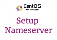 CentOS Web Panel Setup Nameserver